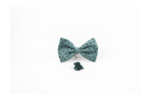 The Mint Chocolate Chip