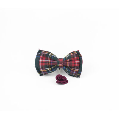 The Tartan